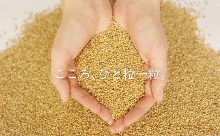 ＜定期便＞創業明治19年　ごま油の老舗「九鬼」　いつもの味を上質に変えるごま油。 九鬼 太白純正胡麻油1650ｇ×2本セット【６回発送】  老舗 ゴマ油 胡麻油 ごま油 まろやか 上質 高品質 上品 