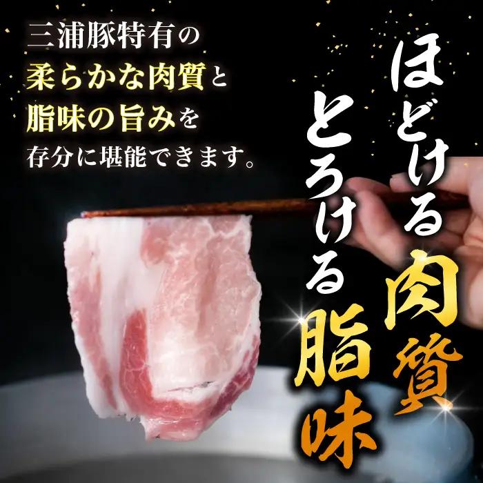 【12回定期便】 三浦豚 豚肉 ロース900ｇ（しゃぶしゃぶ用） / 恵那市 / あづま精肉店 [AUDL017]