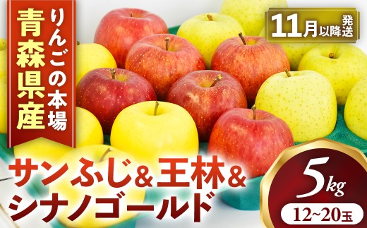 りんご【サンふじ＆王林＆シナノゴールド】セット 約5kg（計14～18玉）【2026年産・先行予約】★2026年11月下旬～12月下旬頃まで発送予定★ りんご 林檎 リンゴ 国産 旬 フルーツ 果物 贈答 土産 青森県 三戸町 AK-21-038