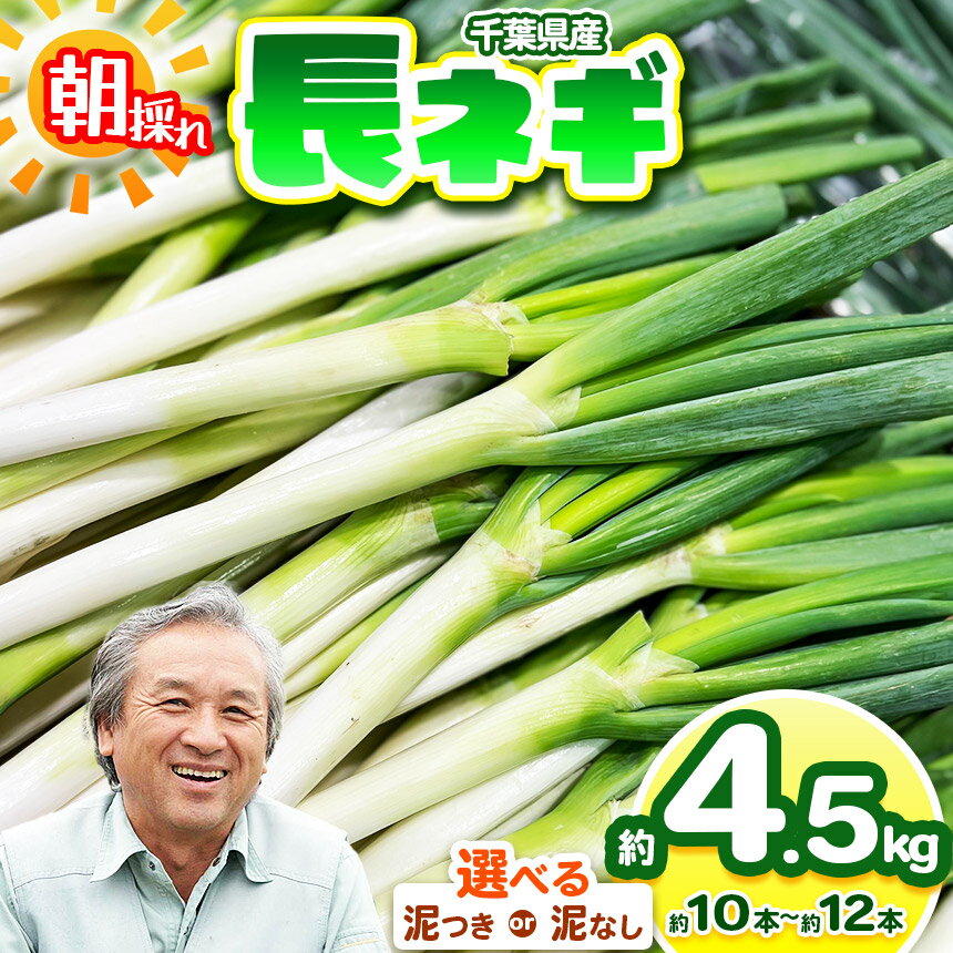 【ふるさと納税】【選べる種類】【 泥なし or 泥つき 】 長ネギ 約4.5kg （約10～12本）　にがり農法 | 鈴木アル・ファーム ねぎ ネギ 長ネギ 長ねぎ 泥付 お鍋 国産 新鮮 詰め合わせ 産地直送 朝採れ 栄養たっぷり 冬野菜 旬 千葉県 君津市　きみつ