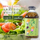 【ふるさと納税】【予約受付】 定期便 6ヶ月 エキストラバージン オリーブオイル 大容量 5L ふるさと納税限定品　定期便・瀬戸内市　お届け：2024年12月上旬より順次発送します。