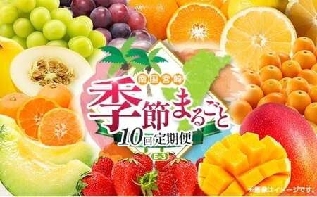 【10回定期便】旬 人気 フルーツ 南国宮崎産 マンゴー 金柑たまたま シャインマスカット ピオーネ いちご みかん 日向夏 メロン 柑橘 きんかん ぶどう 果物 詰め合わせ 宮崎県 九州＜E-3コース M700＞