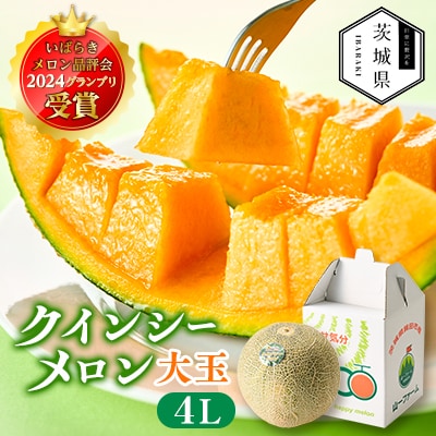 【先行受付】令和8年4月順次発送 茨城県鉾田市 山一ファーム クインシーメロン 大玉4L～5L・1玉【配送不可地域：離島・沖縄】【1590730】