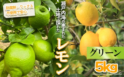 【2026年10月頃から順次発送】グリーンレモン 約5kg ｜果物 くだもの フルーツ レモン れもん 檸檬 新鮮 かんきつ 柑橘 防腐剤不使用 ワックス不使用 グリーンレモン ぐりーんれもん イエローレモン いえろーれもん  国産 愛媛県 松山市 瀬戸内 レモン果汁 ビタミン レモンサワー ジュース チューハイ レモンシロップ レモンスカッシュ
