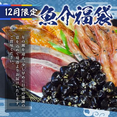 ふるさと納税 境港市 ちょっと早めの魚介「福袋」【12月限定配送】 |  | 01