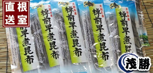 【ふるさと納税】[北海道根室産]早煮昆布100g×5P B-04005