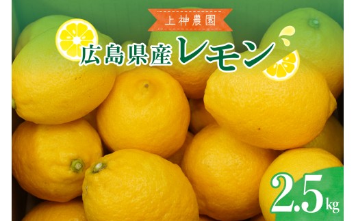 【先行受付】【2026年11月～発送】上神農園 の 広島県産 レモン 約2.5kg ku011-003-26