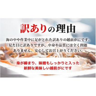 ふるさと納税 越前町 【訳あり】≪浜茹で≫越前がに 3杯(生で1杯400〜600g)食べ方しおり付【3月発送予定】 |  | 02