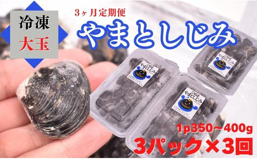 
【3ヶ月定期便】冷凍やまとしじみ（大玉）3パック（1パック350g～400g）×3回
