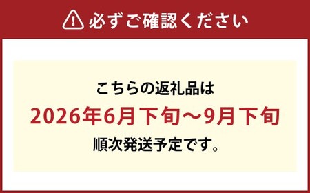 もっとも旬な品種の桃をお届け 岡山の桃 2kg【2026年6月下旬～9月下旬 発送予定】【桃 人気フルーツ 人気桃 おすすめフルーツ 岡山桃 岡山フルーツ 岡山県 倉敷市】