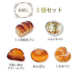 【冷凍米粉パン】お試し5個セット | パン 米粉パン ぱん 冷凍 冷凍食品 詰合せ セット 5種 オススメ 千葉県 君津市 きみつ