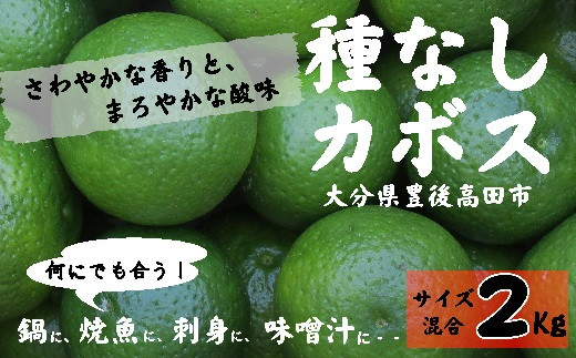 【かぼす】 種なしカボス2kg（サイズ混合） かぼす カボス 柑橘 調味料 香酸柑橘 たねなしかぼす