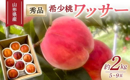 
            【2025年度先行予約】希少桃 ワッサー 2kg 5玉～9玉 FSY-1026
          