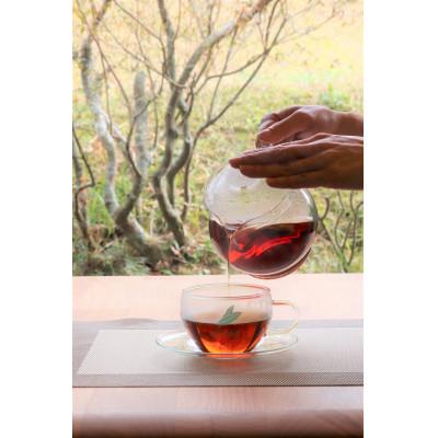 ふるさと納税 南大隅町 『ねじめびわ茶200包入』と食べるびわ茶『ねじめびわ茶スティックゼリー+plus30本入』セット |  | 03