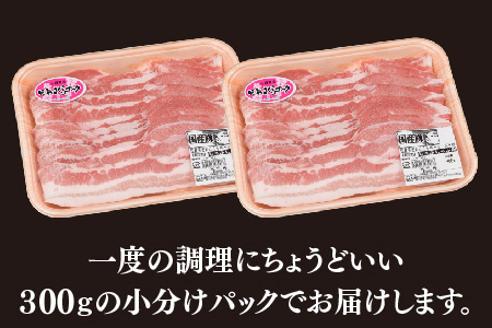 肥前さくらポーク しゃぶしゃぶ用 豚バラ 600g(H123110)