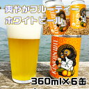 【ふるさと納税】農家イカリファームの小麦ビール！爽やかな「金柑ウィット」【360ml×6本】 地ビール クラフトビール