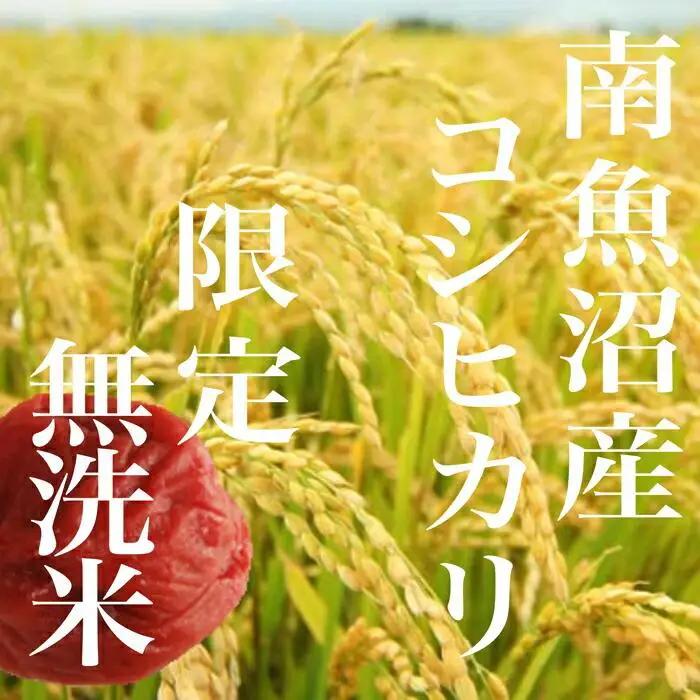 【令和8年　新米予約】【定期便】《無洗米》南魚沼産コシヒカリ10Kg×全6回 | コシヒカリ【2026年10月上旬より1ヶ月以内に順次発送予定】