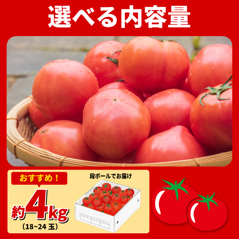 トマト 4kg 大玉 とまと 4月～6月発送 野菜 やさい 国産 産地直送 数量限定 旬 徳島県産 tomato サラダ おすすめ 徳島県