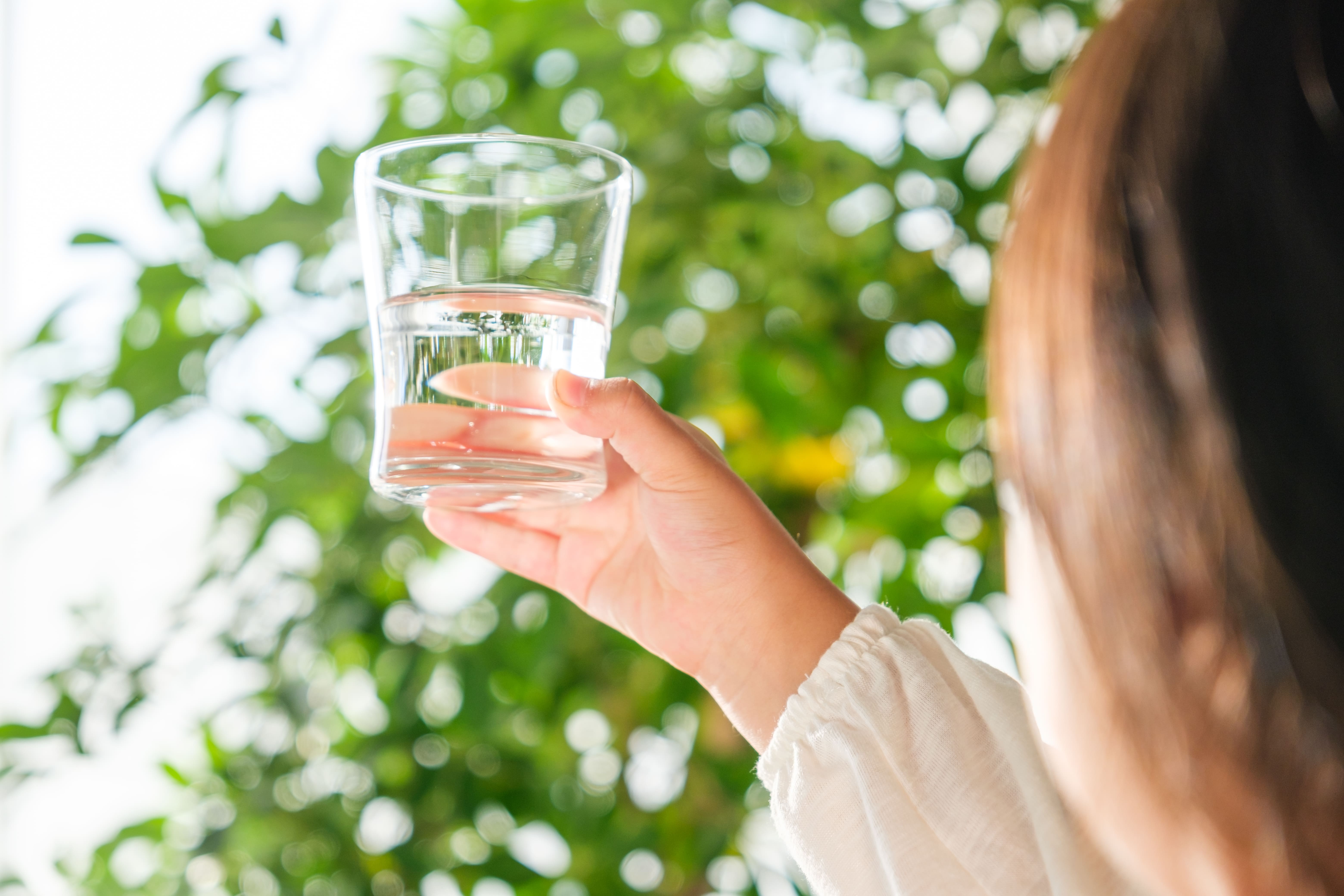 四国カルスト天然水ぞっこん 定期便（毎月6L×4本 1年間）サーバー付