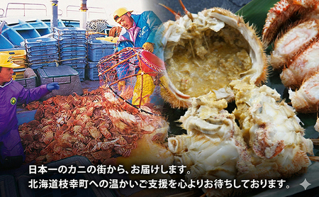 食べ応え抜群！冷凍ジャンボ毛ガニ1kg オホーツク産