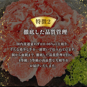 大和牛　シャトーブリアン　ステーキ用　1kg／（冷凍）肉の河内屋　和牛　黒毛　特選品　大和肉　BBQ　奈良県　奈良市　E-36