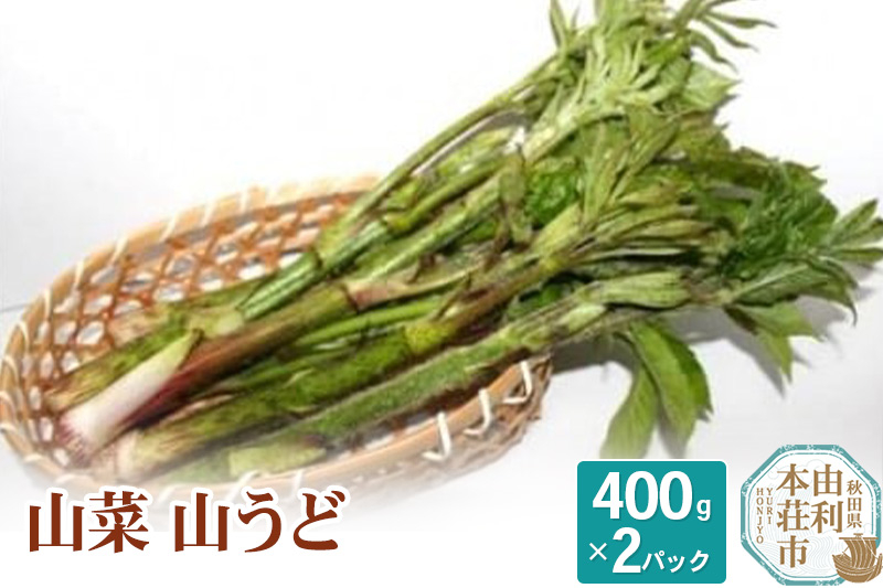 
山菜 山うど 400g×2パック（発送は5月頃）
