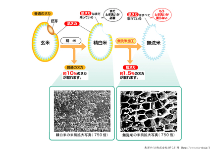 BG無洗米コシヒカリ 5kg×3ヵ月 定期便［毎月]  新米 令和7年産 愛を米 時短 BG 無洗米 こしひかり 島根県産 新生活応援 お試し 節水 アウトドア キャンプ 東洋ライス