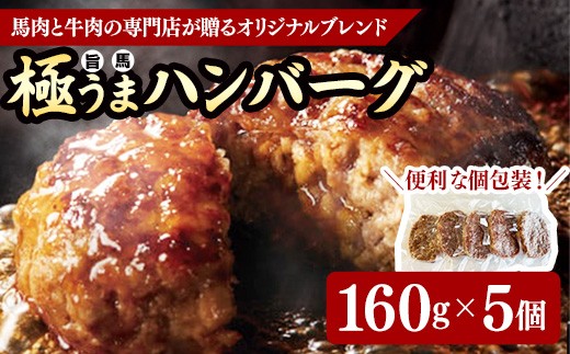 
                  極うま 馬肉ブレンド ハンバーグ 160g 5個 （冷凍便） - 肉 ブレンド 馬肉 無添加 冷凍  手作り おかず 惣菜 簡単調理 送料無料 山形県 飯豊町 【価格改定】
                