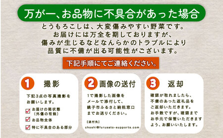 【先行予約 7月中旬~8月上旬発送予定】とうもろこし 20本 朝採り 旬 国産 産地直送 シーズン限定 冷蔵 銚子産 勘兵衛 ﾄｳﾓﾛｺｼ ﾄｳﾓﾛｺｼ ﾄｳﾓﾛｺｼ ﾄｳﾓﾛｺｼ ﾄｳﾓﾛｺｼ