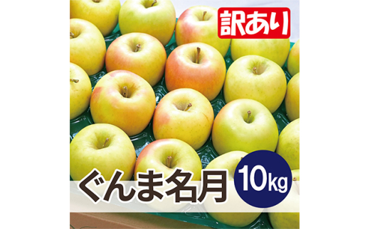 ＜26年3月より順次発送＞平均糖度13度以上! ぐんま名月 約10kg 訳あり【1610336】