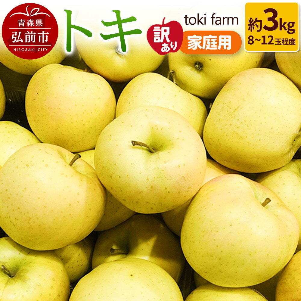 【ふるさと納税】りんご【9月クール便発送】トキ 約3kg（8〜12玉程度）【訳あり】家庭用 toki farm