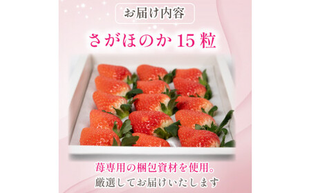2月発送 いちご 15個 化粧箱入り 約420g 【 いちご 】