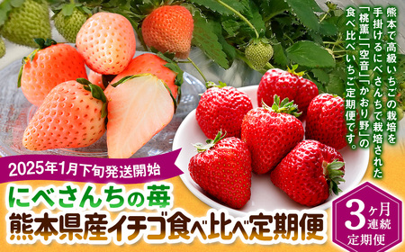 【3か月連続定期便】にべさんちの苺 熊本県産イチゴ食べ比べ定期便 (かおり野・桃薫・空音) 【2025年1月下旬発送開始】