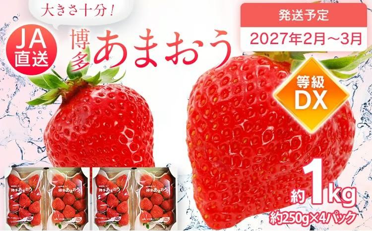  【2027年2月～2027年3月順次発送】あまおう  約250g×4パック DX