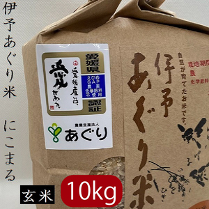米 玄米 10kg 伊予あぐり米「にこまる」 令和7年産 米 農薬・化学肥料不使用 米 玄米 令和7年産 米 お米 こめ 農薬・化学肥料不使用 こだわりのお米 愛媛県 松前町 松前 まさき 愛媛 えひめ おこめ 有限会社あぐり 愛媛県産米 松前町産米 美味しいお米   お米 贈答 贈り物 愛媛県 松前町 有限会社あぐり 【AGR0030_10R7】