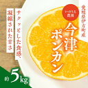 【ふるさと納税】【先行予約】いのうえ農園の今津ポンカン 5kg｜柑橘 みかん ミカン 蜜柑 フルーツ 果物 産地直送 ※離島への配送不可 ※2025年2月頃より順次発送予定