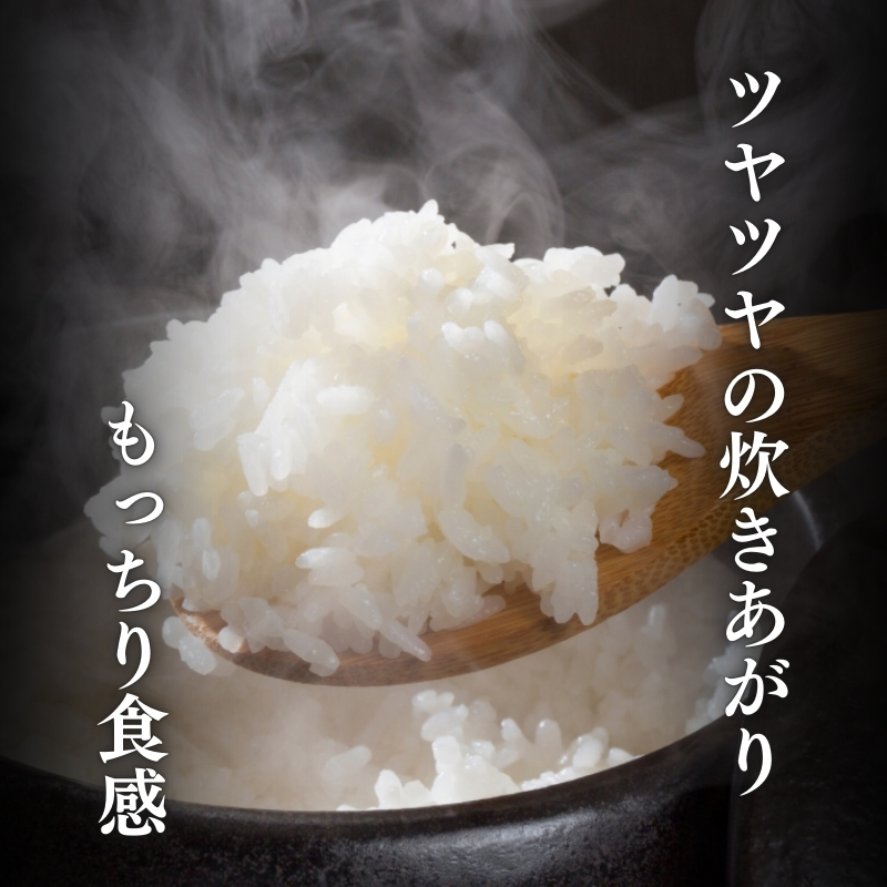 令和7年産 先行予約 新潟県上越柿崎区厳選 こしひかり 精米 10kg 上越市 精米 米 コメ コシヒカリ ブランド米