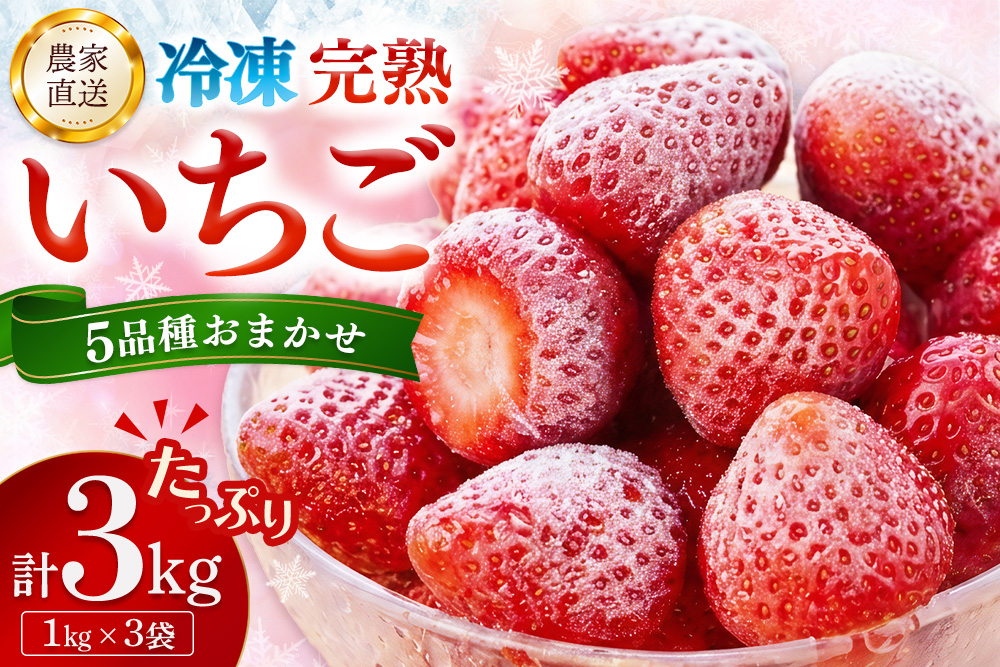 冷凍完熟いちご3kg(1kg×3袋)【完熟いちご 冷凍いちご イチゴ 苺 産地直送 農場直送 ヘタ無し げんき農場 よつぼし おいCベリー かおり野 紅ほっぺ 恋みのり 小分け】K100042