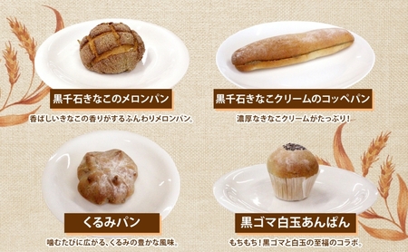 自家製酵母パン 人気の定番セット Lサイズ パン 道産 小麦 惣菜パン 菓子パン フォカッチャ ベーグル プレッツェル 角食 山食 朝食 軽食 手づくり 自家製 酵母 人気 詰め合わせ 冷凍 北海道 