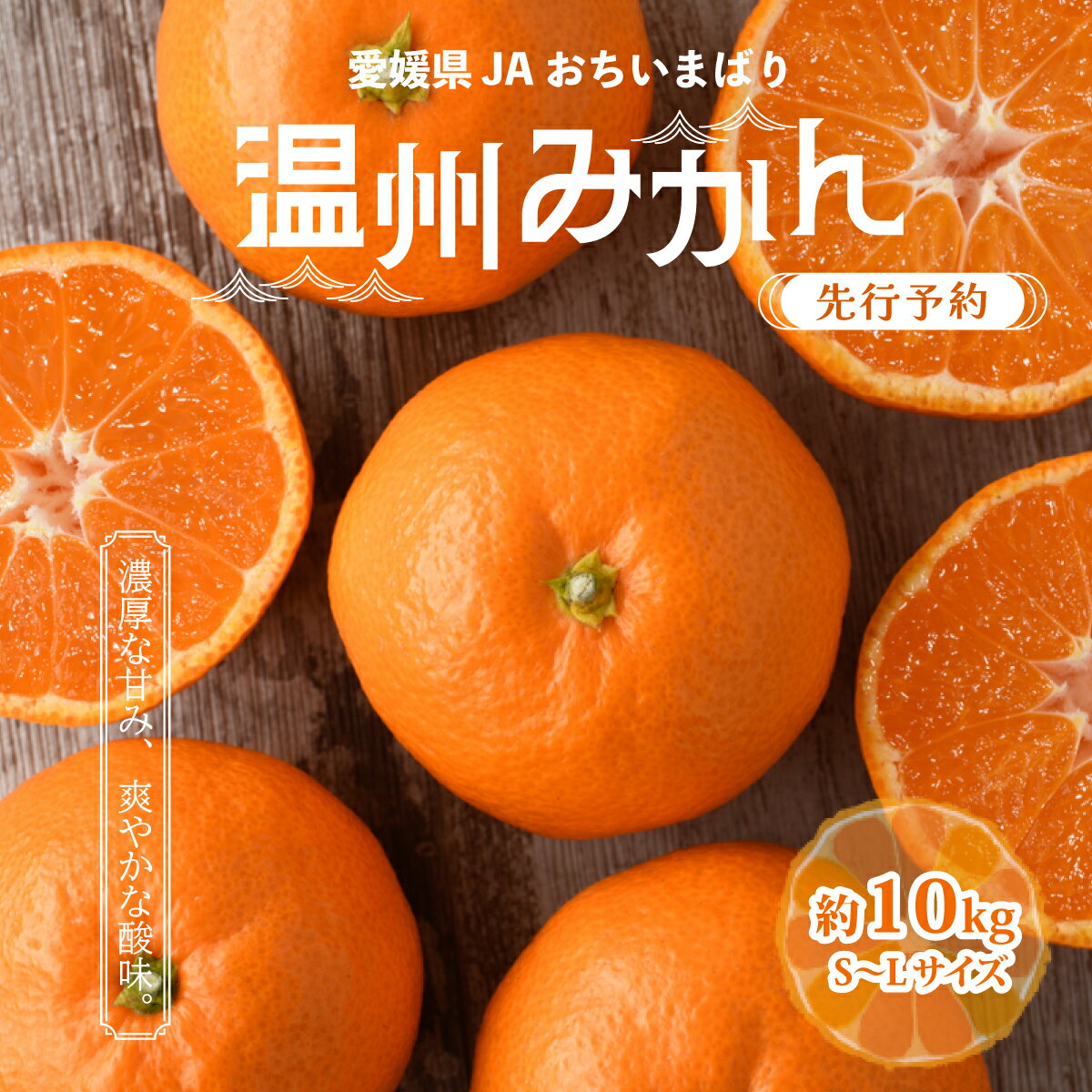 【ふるさと納税】【先行予約】瀬戸内の温州みかん10kg　秀L〜S　JA選果品【1644274】 | みかん ミカン 温州ミカン 温州みかん 甘いみかん 愛媛みかん 果物 フルーツ 柑橘 限定JA選果品
