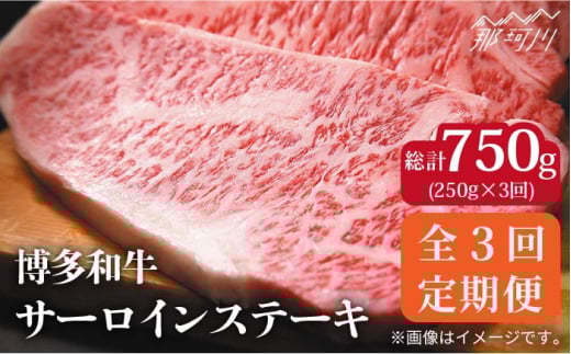 【全3回定期便】【A4ランク以上！】博多和牛サーロインステーキ250g×1枚＜株式会社MEAT PLUS＞那珂川市 [GBW031]