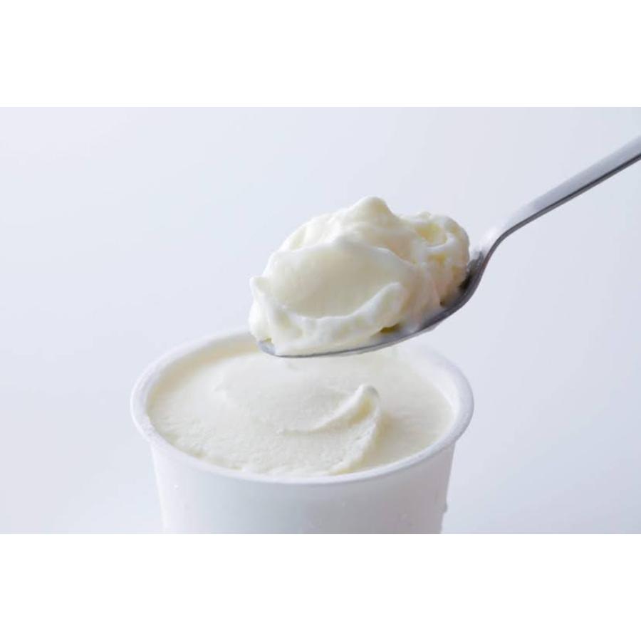 ＜NOWA＞THE ICE 5種食べ比べセット 100ml×5個