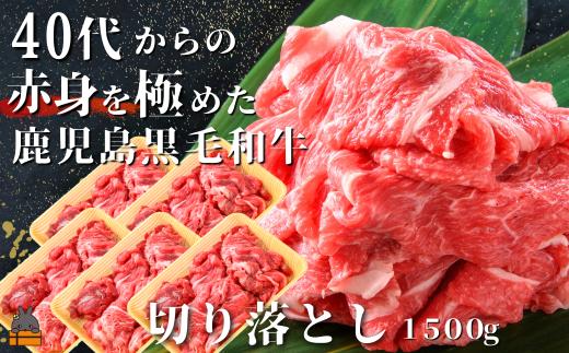 2505 40代からの赤身を極めた鹿児島黒毛和牛切り落とし1500g ( 厳選 赤身 プレミアム 高品質 鹿児島黒毛和牛 黒毛和牛 牛肉 万能 料理 徳之島 奄美 鹿児島 すき焼き しゃぶしゃぶ 高島屋  )