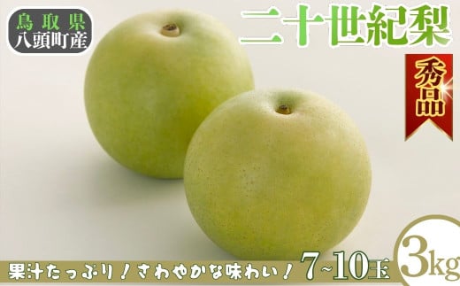 二十世紀梨(秀) 3kg