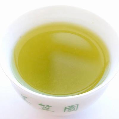 ふるさと納税 掛川市 深蒸し掛川茶 掛川の城 セット500g×2袋(1kg)