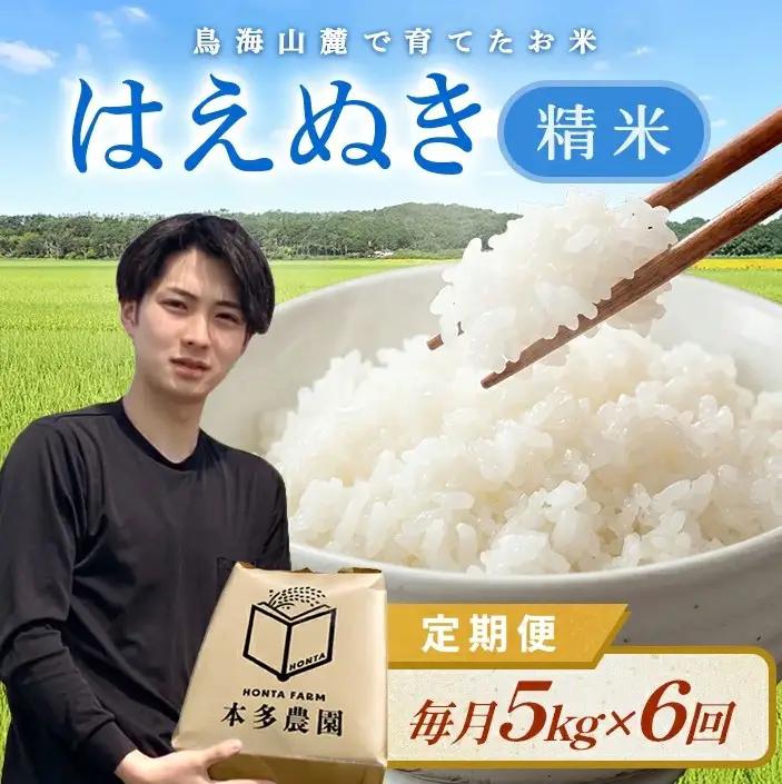 SF0379　10月下旬配送／【6回定期便】令和8年産 ［精米］はえぬき　5kg×6回(計30kg) 農家直送 HO