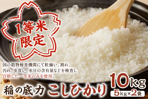 【令和5年産】浜田産「稲の底力こしひかり」10kg お取り寄せ 特産 お米 精米 白米 ごはん ご飯 コメ 新米 新生活 応援 準備 10キロ 【120】