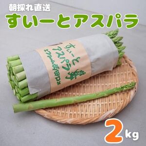 【予約商品】朝採れ直送 すいーとアスパラ 2kg【配送時期:4月上旬～10月上旬】