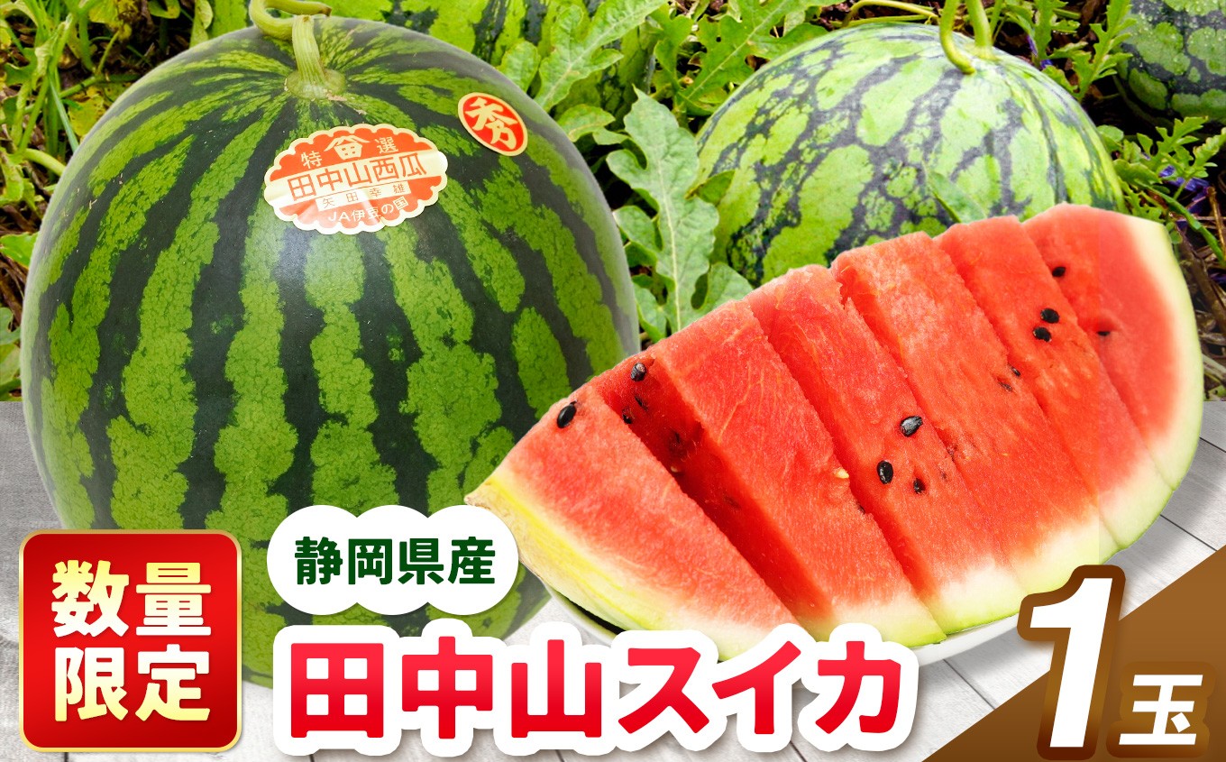 
                  【令和9年度分先行予約】田中山スイカ（1玉）|  スイカ すいか 西瓜 田中山スイカ 田中山 果物 フルーツ 夏フルーツ 夏の果物 夏の味覚 大玉スイカ 大玉 1玉 甘い みずみずしい 国産 静岡県産  静岡 伊豆 産地直送 農家 生産者 旬 先行予約 予約 夏 デザート おやつ ご家庭用 家族 贈り物 ギフト 静岡県 伊豆の国市
                