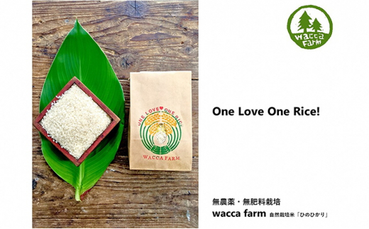 
                  瀬戸内自然栽培米「ひのひかり」5分づき　10kg（5kg×2袋） [№5735-0788]
                